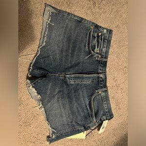 Citizens Of Humanity Marlow Vintage Short